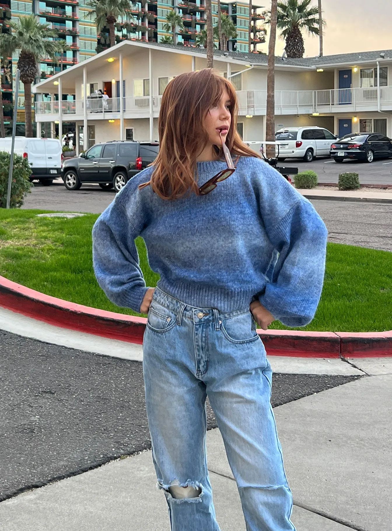 Here is an optimized product title with descriptive modifiers:

Adina Womens Stylish Blue Denim Jumper